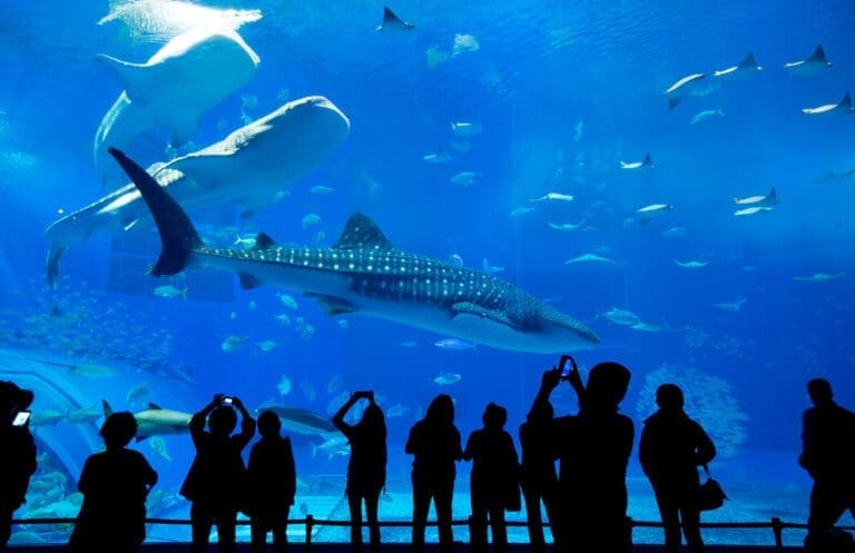30 Amazing Educational Virtual Field Trips: Explore the World from Your Classroom